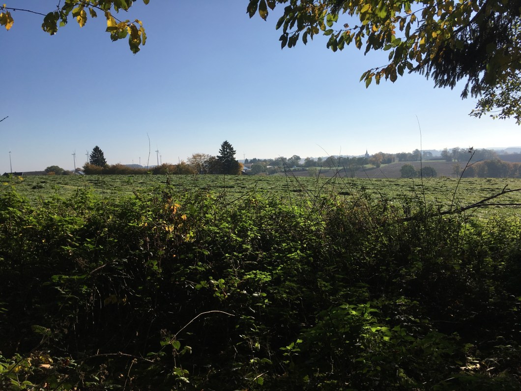 106/424/G frontline positions, outside Grosskampenberg, Germany